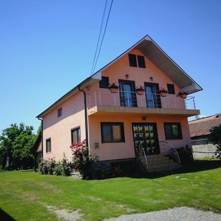 Pensiunea Balea Sat Cârțișoara Exterior photo