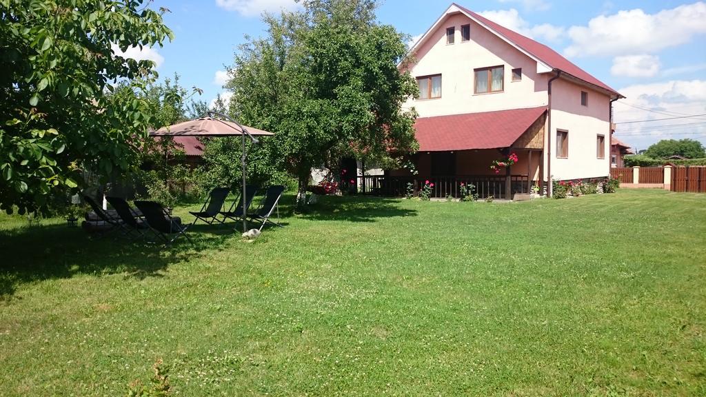 Pensiunea Balea Sat Cârțișoara Exterior photo