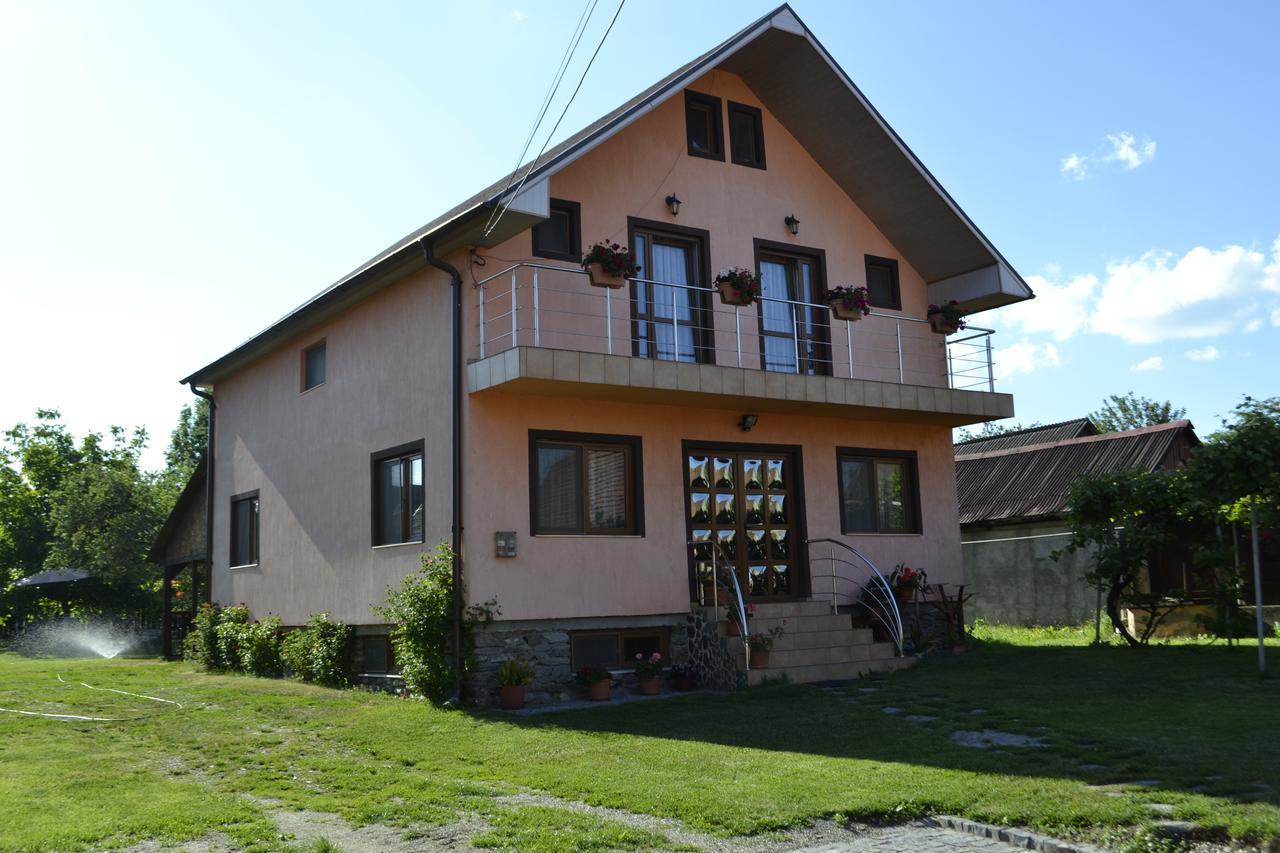 Pensiunea Balea Sat Cârțișoara Exterior photo
