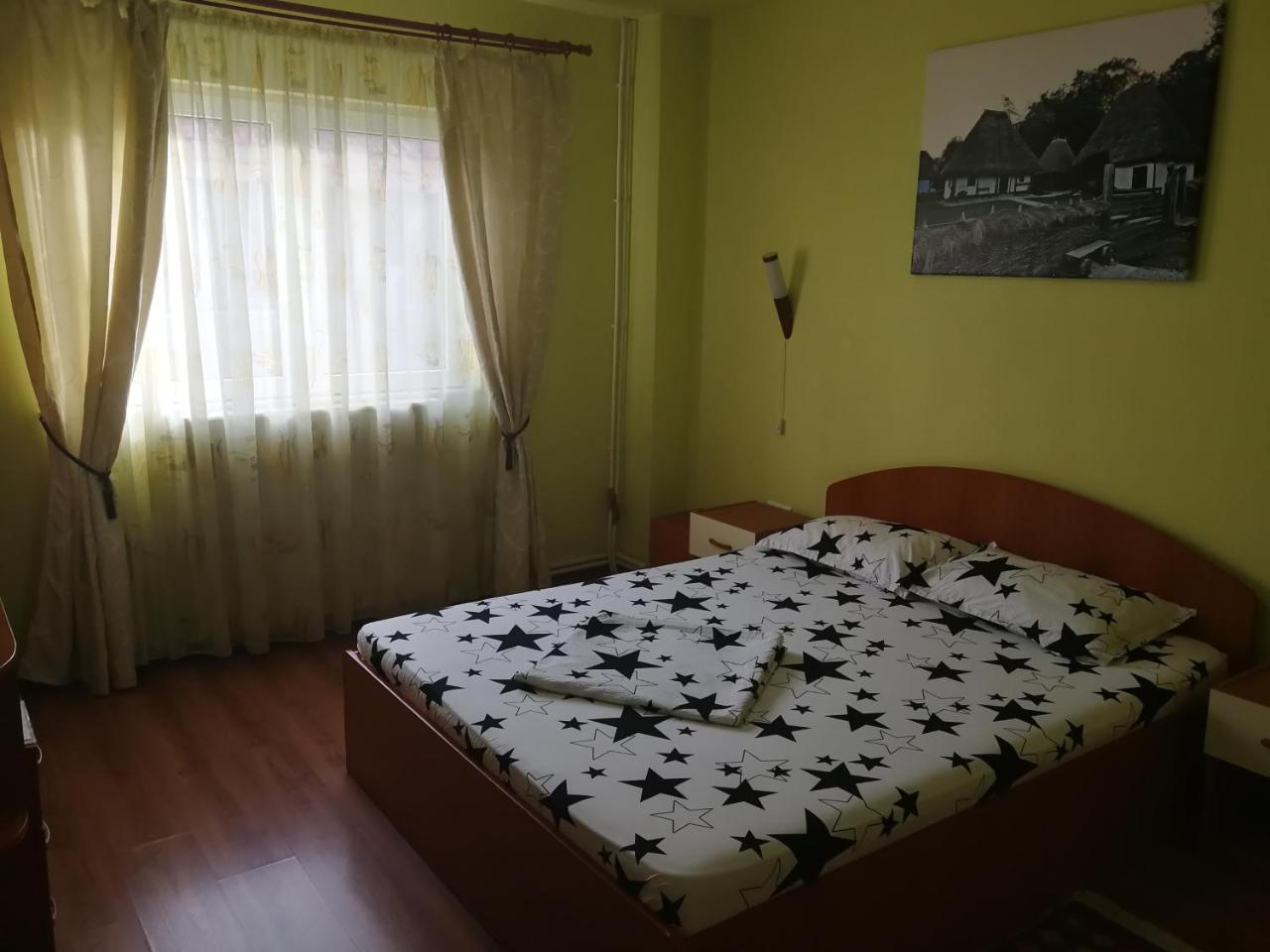 Pensiunea Balea Sat Cârțișoara Exterior photo