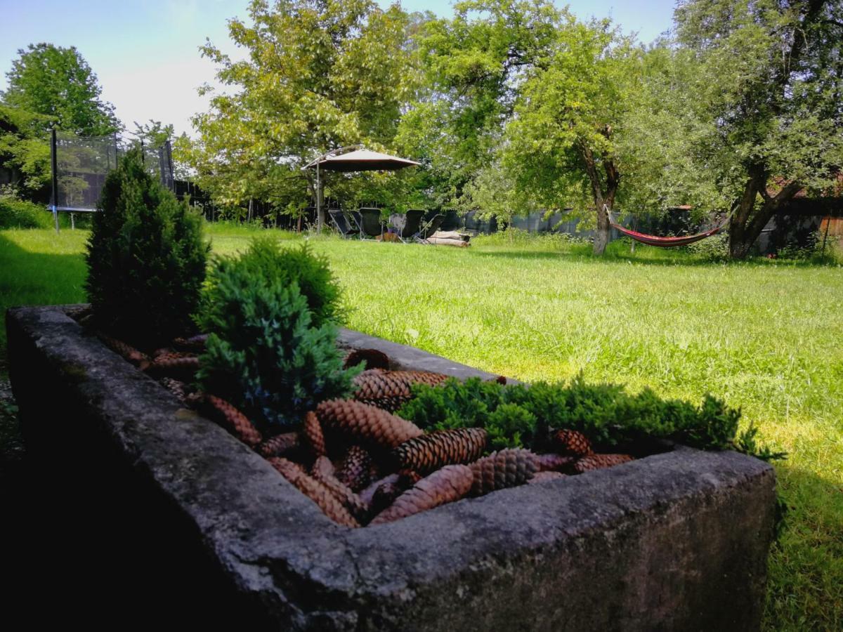 Pensiunea Balea Sat Cârțișoara Exterior photo
