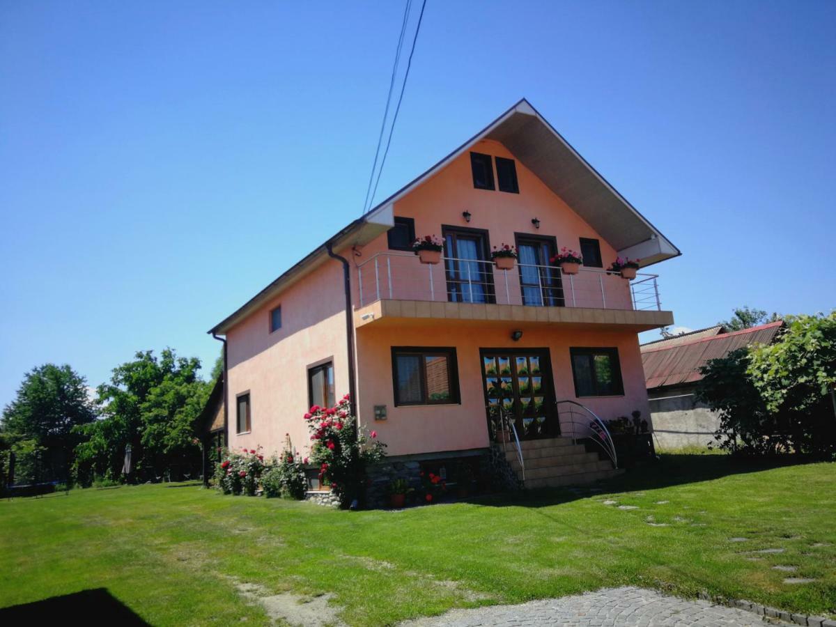 Pensiunea Balea Sat Cârțișoara Exterior photo